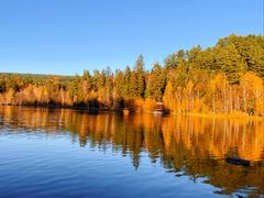 -五营红松林海景区