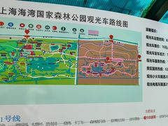 -上海海湾国家森林公园