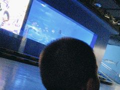 -重庆欢乐海底世界