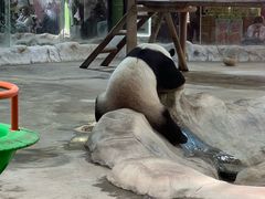 -栾川竹海野生动物园