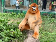 -西安秦岭野生动物园