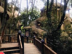 -天门沟九州驿站树上汤泉