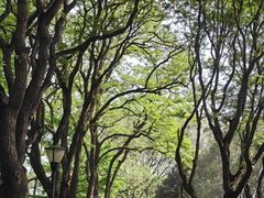 -玲珑塔公园