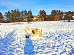-北极村旅游风景区