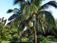 -瑰丽酒店·海吧·天际下午茶·现场DJ·天台酒吧