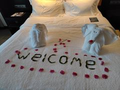 -三亚湾海居铂尔曼度假酒店