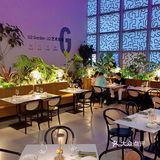 充满艺术感的绿植西餐厅