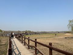 -西青郊野公园