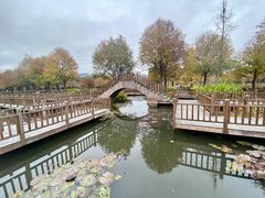 -五缘湾湿地公园