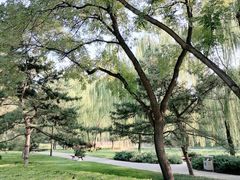 -元大都城垣遗址公园