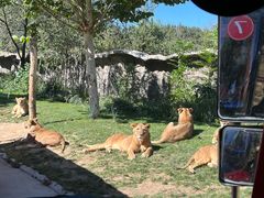 -北京野生动物园