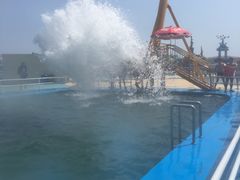 -秦皇岛乐岛海洋王国