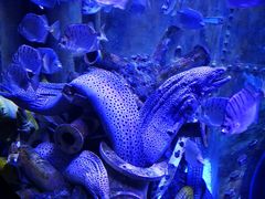 -成都浩海立方海洋公园