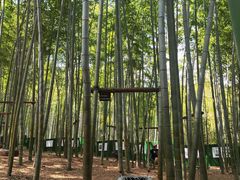 -陶祖圣境风景区