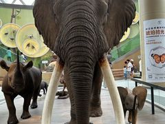 -陕西自然博物馆