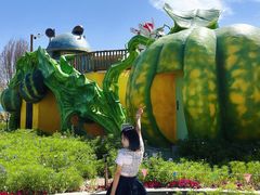 -水上乐园·欢乐世界