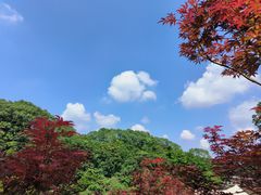-广州市帽峰山景区
