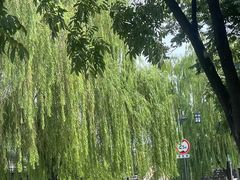 -南浔古镇