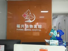 -瑞派福兴宠物医院犬猫全科·骨科·中西医结合(河东店)