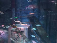 -沈阳海洋探索中心