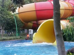 -苏州乐园森林水世界