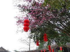 -广东大峡谷