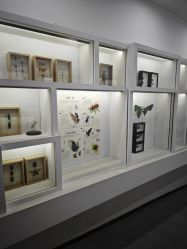 -酷嗒动物文化乐园(cutezoo西溪乐天城店)