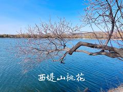 -颐和园