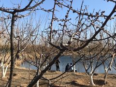 -永定河休闲森林公园