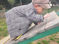 -田园东方蜜桃村的田野营地