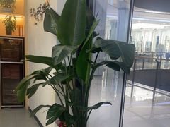 -雲己推拿院·养生SPA(江北龙湖天街店)