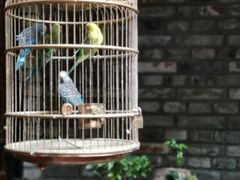 -鱼桥巷·美学川菜