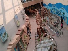 -陕西自然博物馆