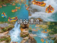 -四明山国家森林公园