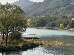 -长广溪湿地公园