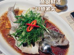 -虾饺妹·酒家(金碧店)