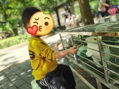 -贵州森林野生动物园