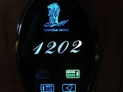 -深圳圣淘沙酒店(翡翠店)