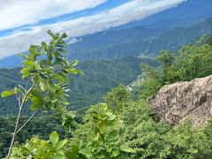 -王顺山国家森林公园