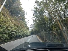 -广州市帽峰山景区