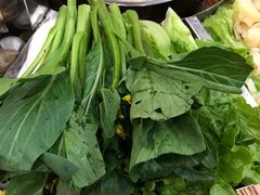 -百丈园龙江啫神馆