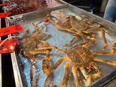 -湛江渔港·大排档(乐园路总店)