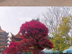-富乐山
