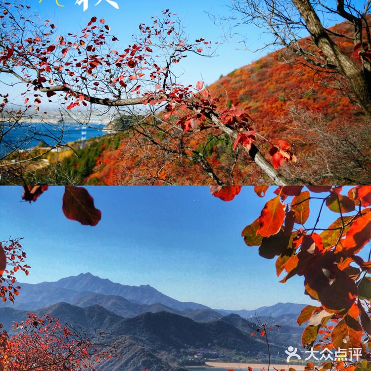 北京赏秋 金海湖最佳红叶观赏地