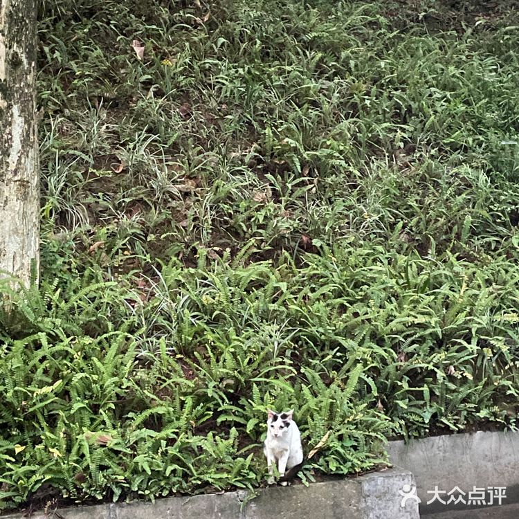 广州白云山桑拿之旅