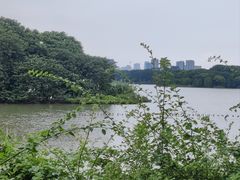-海珠湖公园