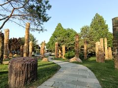 -石家庄市植物园