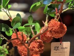 -长安大牌档之上元灯会(南大街店)