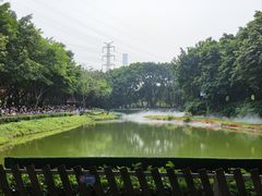 -广州长隆飞鸟乐园