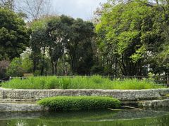 -成都市活水公园